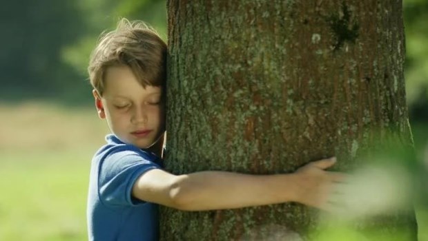 Mindfulness y trastorno del espectro autista (TEA)