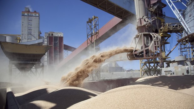 Suspenden las exportaciones de harina y aceite de soja y en el campo temen un aumento de las retenciones