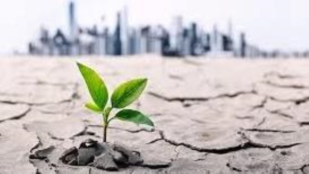 La resiliencia que no fue