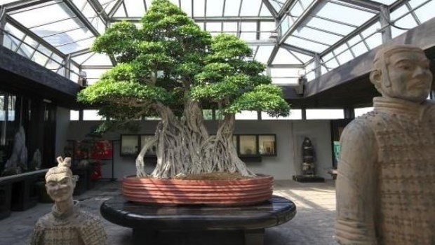 Resiliencia: a dos años del inicio del Gran Reseteo