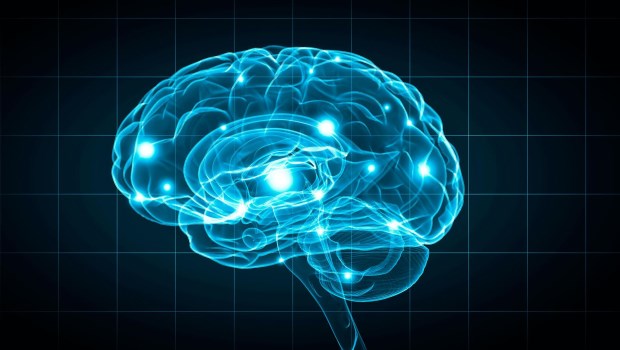 Neurofisiología Clínica: ¿qué estudian los “electricistas” del cuerpo?