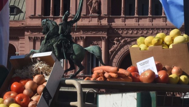 El Tractorazo en Plaza de Mayo produjo imágenes coloridas y singulares, fuera de contexto para el escenario. El reclamo tuvo escaso impacto.