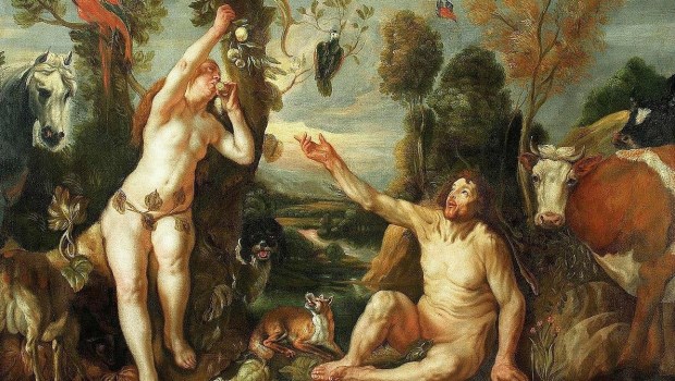 Perder la cordura (II)