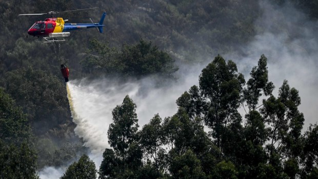 Sigue la ola de calor en Europa con incendios devastadores - Actualidad ...