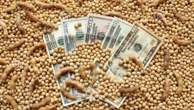 ¿El dólar soja anticipa la devaluación?