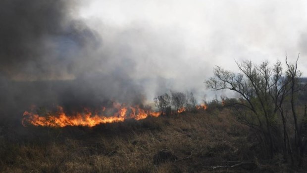 Siguen los incendios en el delta del Paraná: el humo afecta al norte y ...