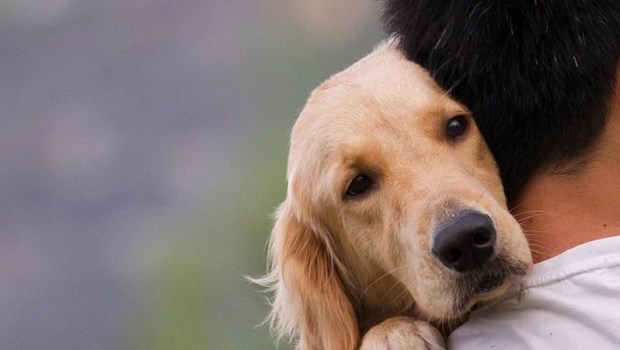 ¿Qué es la amistad? ¿Qué es el amor?