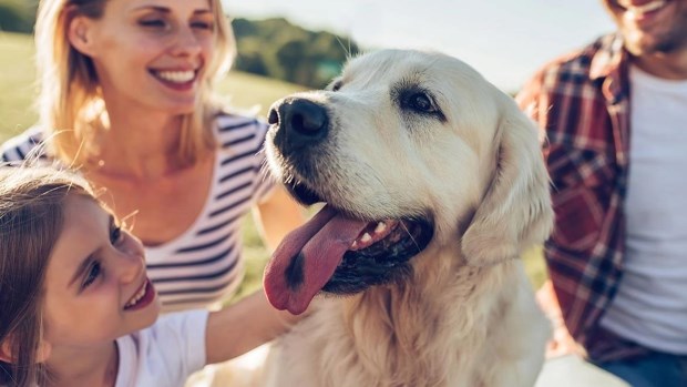 Sobre hombres, bestias y confusiones ontológicas