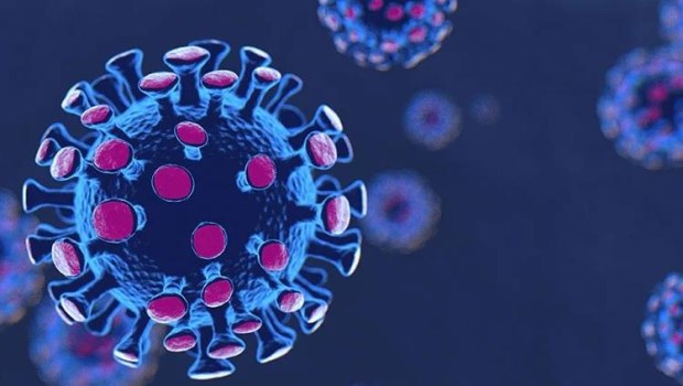 Vacunas covid: estado actual de los conocimientos