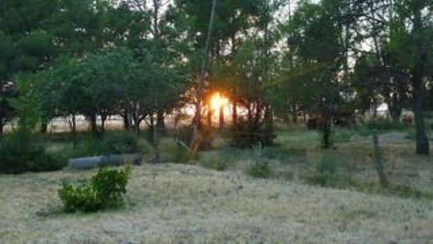 Una luz en la caldenada