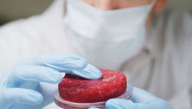 El intento por instalar la “carne” cultivada en laboratorio y sus posibles riesgos 