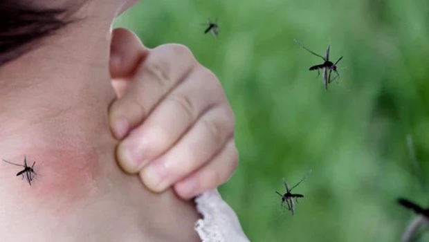 Dengue.