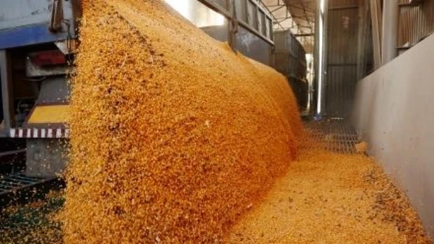 Los exportadores liquidaron US$ 111 millones en el marco del dólar agro y US$ 418 millones durante la semana