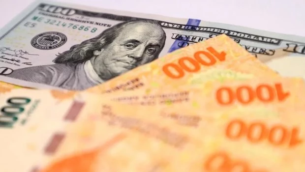 Dolarización, un camino inconstitucional