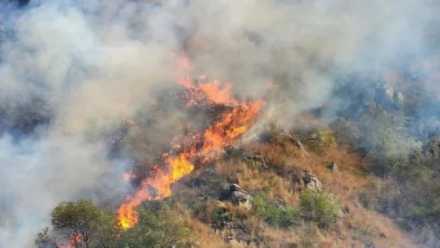 Incendios forestales. ARCHIVO