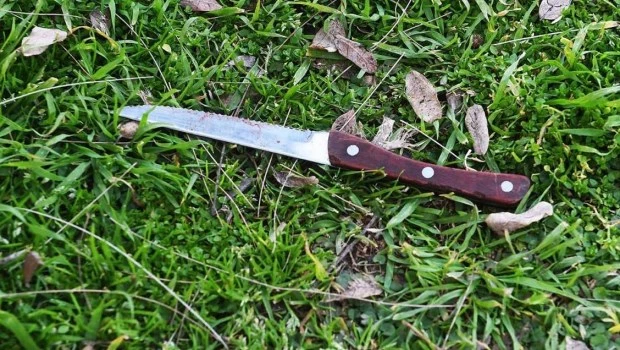 El cuchillo presuntamente utilizado en el crimen fue encontrado por un periodista que cubría la nota