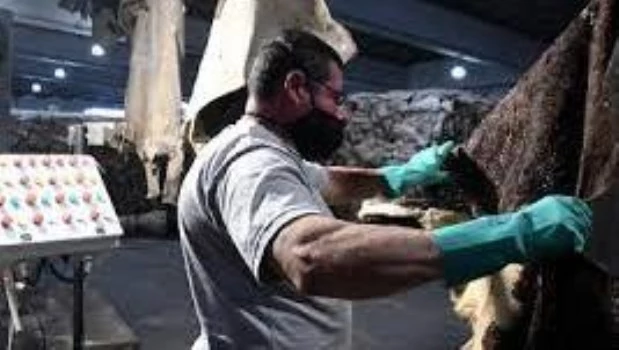 El empleo formal y registrado acumuló 35 meses consecutivos al alza y marcó un nuevo récord