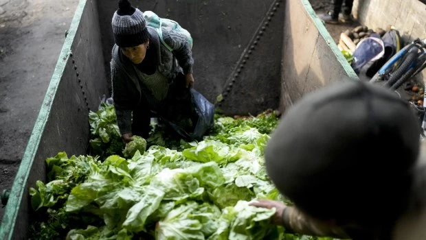 Ni yerba de ayer secándose al sol
