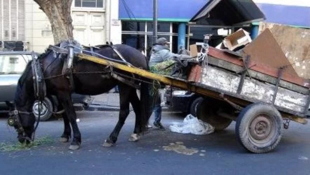 La ciudad de Córdoba prohibió la tracción a sangre: entregan motos eléctricas