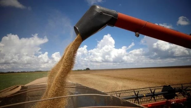 Dólar soja: en lo que va de septiembre se vendió un 88% más que en todo agosto