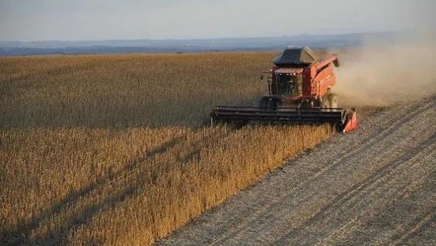 La liquidación de divisas de la agroexportación se desplomó un 75% en septiembre