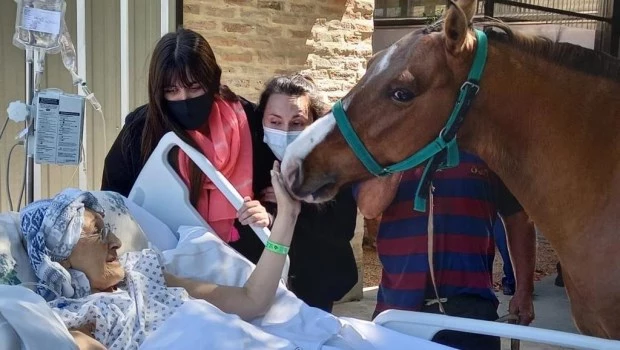 “No acompañamos a la gente a morir, acompañamos a vivir hasta el final”