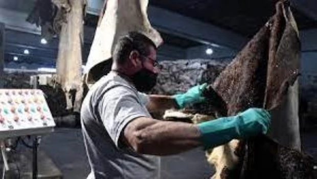 El empleo registrado mantiene la tendencia de crecimiento con nuevos máximos desde 2017