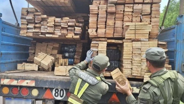 Secuestran más de seis toneladas de marihuana en Misiones: un detenido