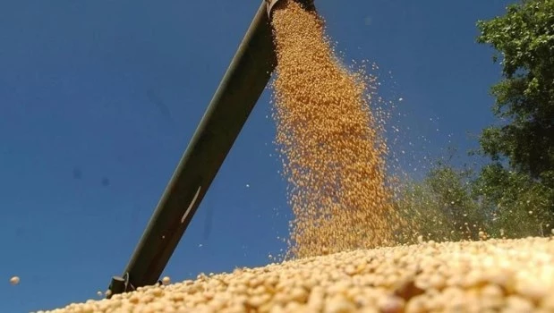 Estiman que las exportaciones del complejo sojero subirán 125% en el 2024