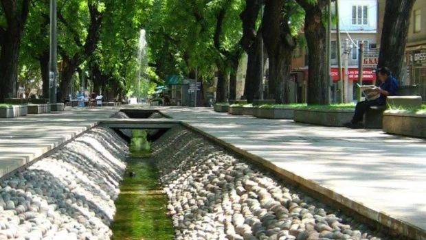 Varios de los relatos de la mendocina Graciela Scarlatto transcurren en su provincia natal.