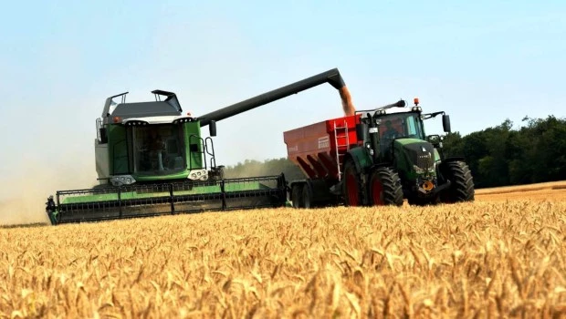 El ajuste que aplicará el próximo gobierno será doloroso, asegura el economista Salvador Di Stéfano. Y advierte: el agro, la minería y los hidrocarburos catapultarían a la Argentina en 2025.