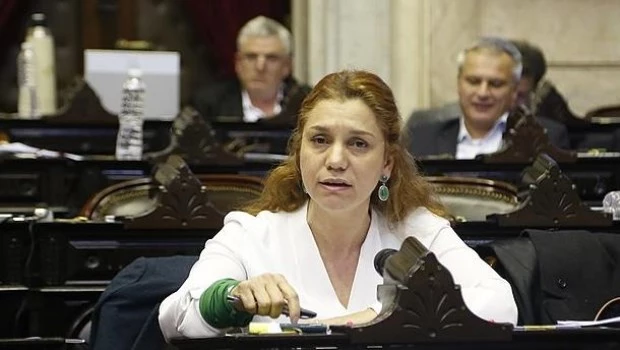 Banfi: "El Presidente debe entender que los jubilados no pueden hacer el ajuste"