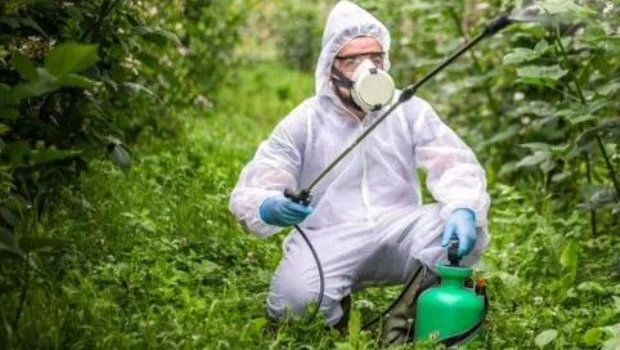 Bayer deberá pagar 2.250 millones de dólares a un hombre cuyo cáncer fue atribuido al glifosato