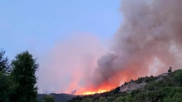 Más de 250 brigadistas combaten el incendio en el Parque Nacional Los Alerces
