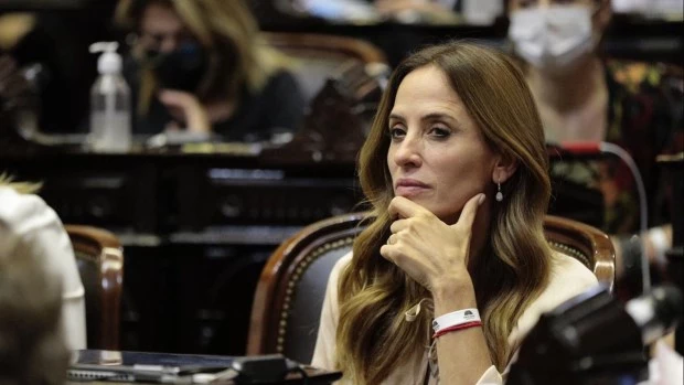 Para Tolosa Paz "el único artículo que vale la pena" de la Ley Ómnibus es la coparticipación del Impuesto PAIS