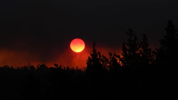 Se mantienen activos 165 focos de incendio en Chile y ya se consumieron 26.000 hectareas