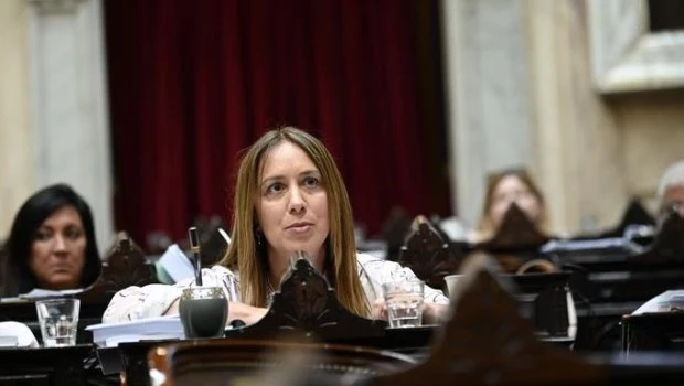 Vidal aseguró que “el PRO votará a favor todos los artículos” de la Ley Omnibus