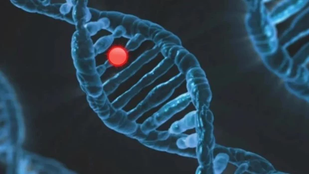 El desafío de reconocer y diagnosticar las enfermedades ‘poco frecuentes’ 
