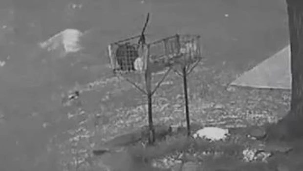 Apareció un cuerpo flotando en medio de la inundación en Valentín Alsina