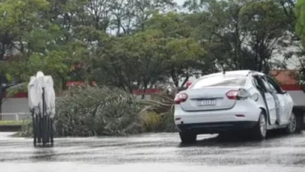 Un conductor ebrio atropelló y mató con su auto a 10 personas de las cuales tres murieron