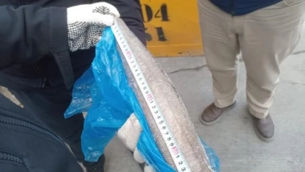 Se activó el decomiso del millonario cargamento de merluza negra