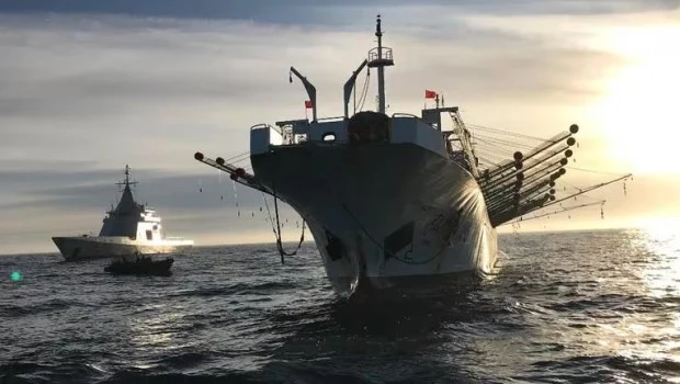 La pesca ilegal