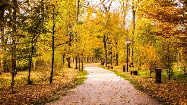 En torno al silencio y la vida espiritual