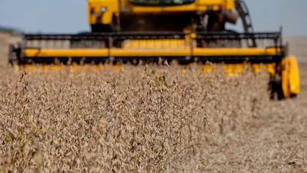 La soja, viento a favor