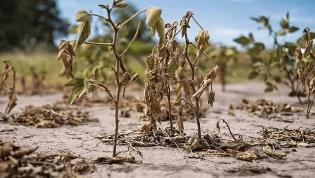 El cambio climático amenaza al agro