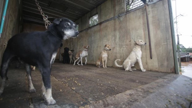 Las inundaciones en el sur de Brasil alcanzan el centro de la ciudad de Porto Alegre