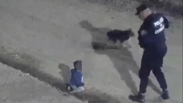 Un bebé que gateaba solo por las calles de Córdoba fue hallado por la Policía