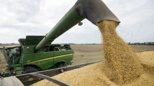 El Gobierno aspira a que se acelere la liquidación de divisas de la cosecha de soja