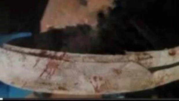 Contundente respuesta de la madre de Fernando a Thompsen: “Es la sangre de mi hijo”