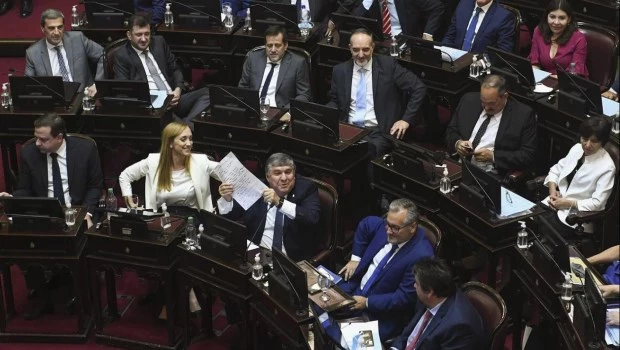 Ley Bases: un camello en el Senado